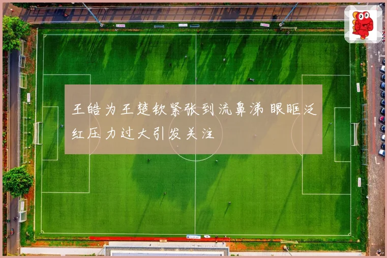 王皓为王楚钦紧张到流鼻涕 眼眶泛红压力过大引发关注