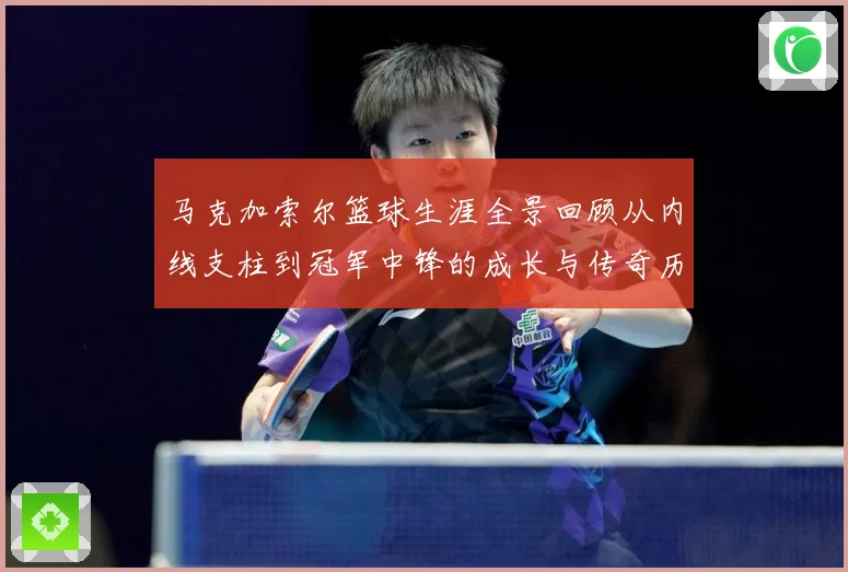 马克加索尔篮球生涯全景回顾从内线支柱到冠军中锋的成长与传奇历程