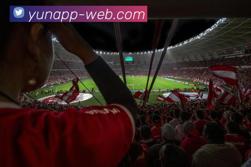 开云平台展示图